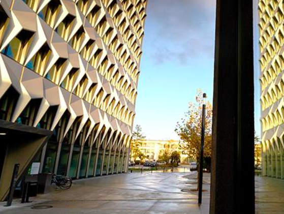 Graduate School