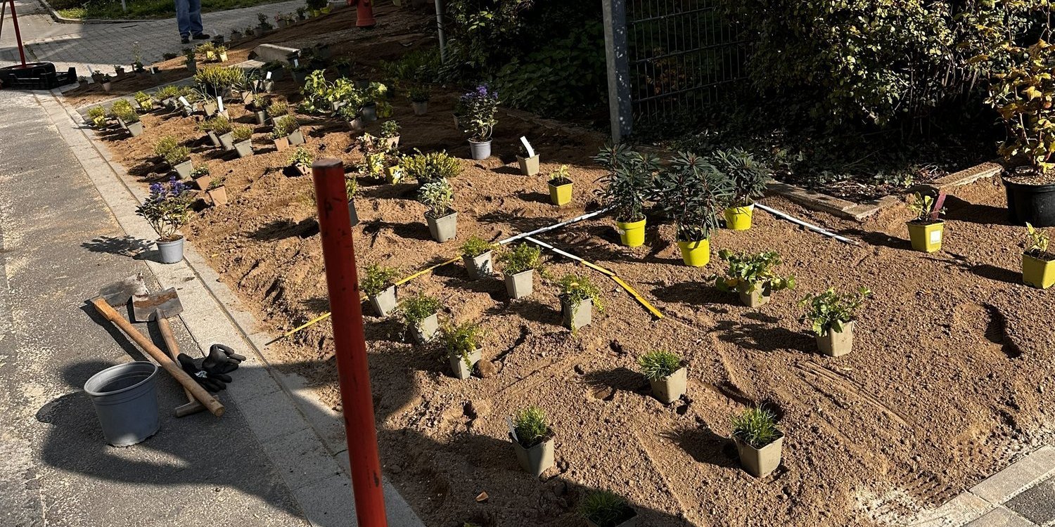 während der Pflanzaktion