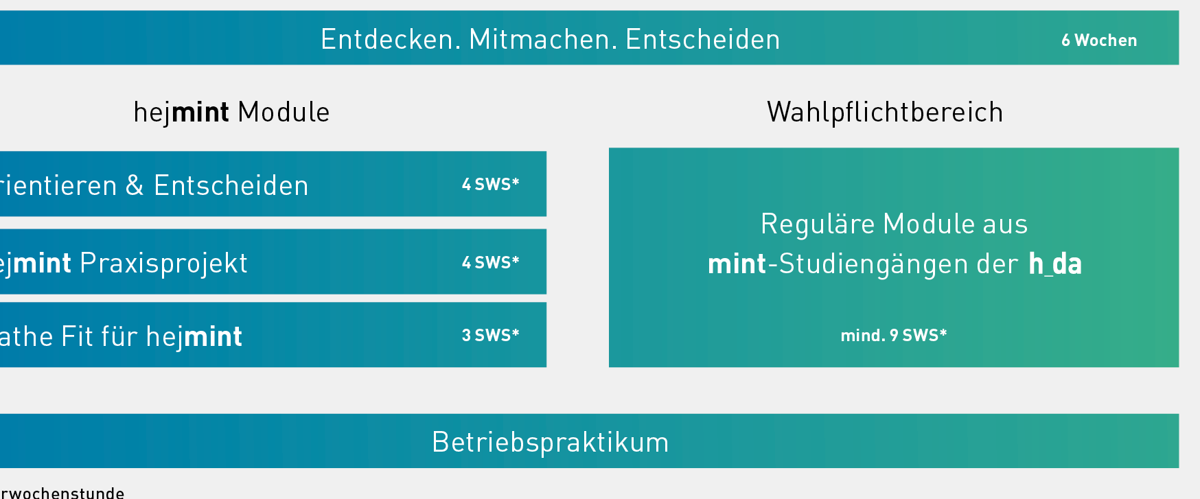 Übersicht über die Programmbestandteile des Orientierungssemesters hejmint