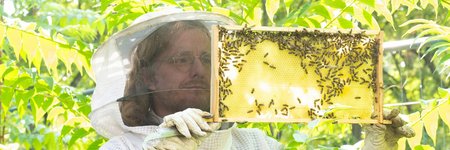 Das Bee Lab ist eine offene Forschungsplattform, an der sich Interessierte aus der gesamten Hochschule beteiligen können. Foto: h_da/Markus Schmidt