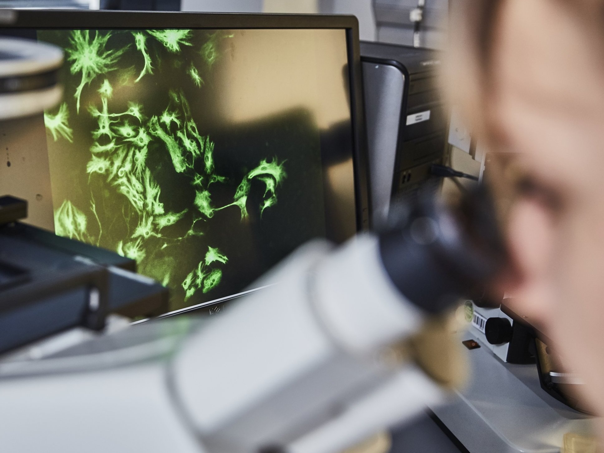 Sustainable Transformation